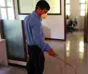 pestcontrol services chennai